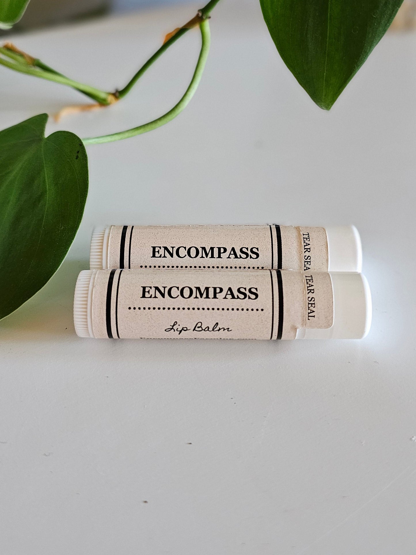 10x Encompass Lip Balm